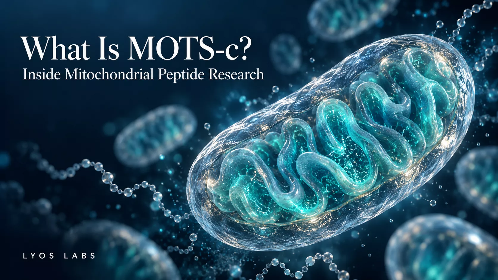 MOTS-c In Vitro: Exploring Mitochondrial Signaling in Cultured Cells
